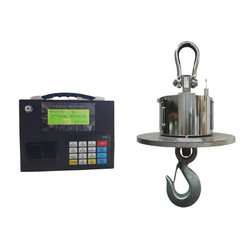 Heat Resistant Crane Scale factory